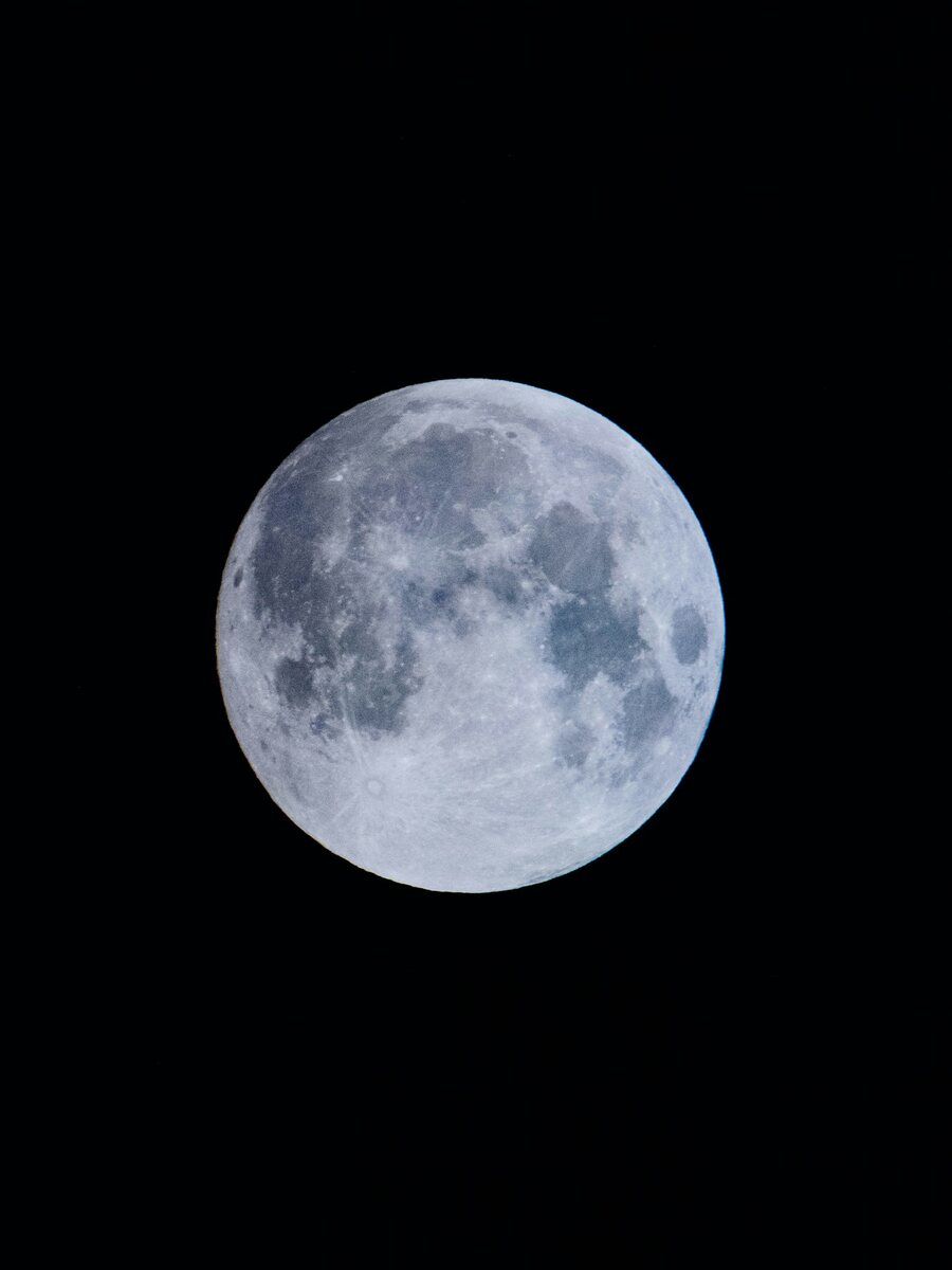 A year forecast laid over a birth chart